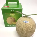 クラウンマスクメロン