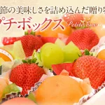 旬をいただくフルーツ詰合せボックス