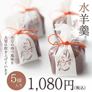 鶴屋光信 水羊羹