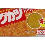 ビッグカツ スペシャルソース味