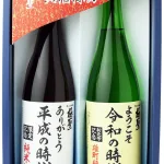 ありがとう 平成の時代・ようこそ 令和の時代セット