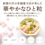 MAEDAYA（前田家） 金平糖　小分け　5種のフレーバー