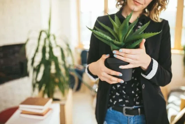 贈る相手に嬉しいと感じてもらえる商品とは？引っ越し祝いにおすすめな商品5選