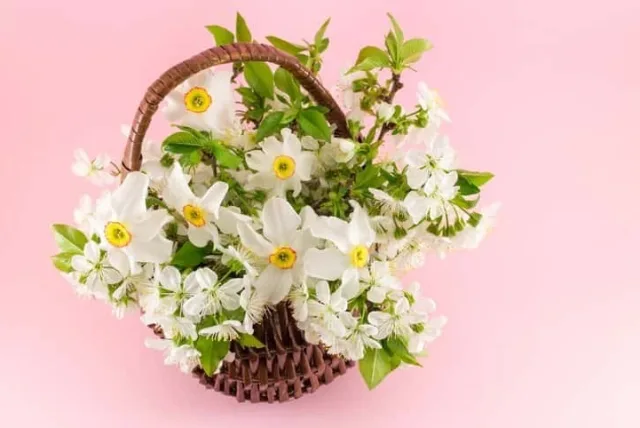 新築への引っ越し祝いにベストなお花5選!華やかに彩るギフトを贈ろう!
