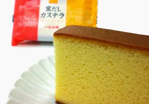 一六本舗 ひと切れカステラ プレーン 1個入り