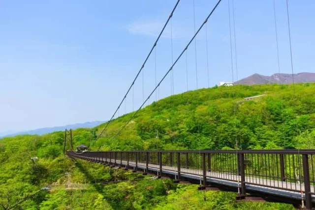 栃木県のお土産はこれ！名物やご当地スイーツからおしゃれな手土産20選