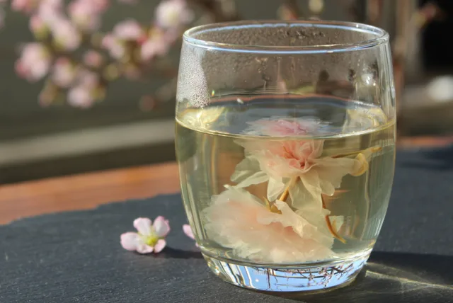春を満喫！桜が浮かぶ美味しいおだし 雅 結 寿／みやびゆいのじゅ「さくらのおだし」