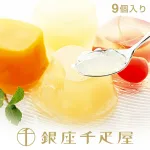 銀座ゼリー(9個入り)