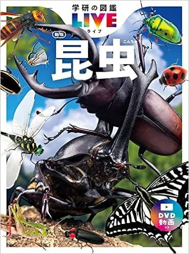 リニューアルでさらに読みやすく進化