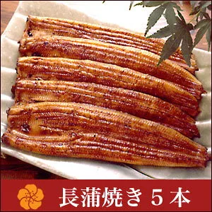 たっぷり5本！国産うなぎの長蒲焼