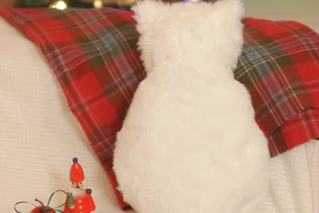 癒やされる白いモコモコ、その名はミャウエバー CocoMeow／ココミャウ「MeowEver SNOW WHITE」