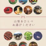 カタログギフト やまなし