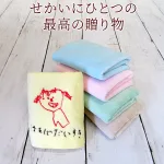 刺繍 タオルハンカチ