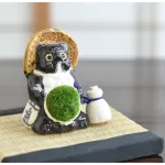 信楽たぬきの苔盆栽