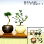 『黒松』『長寿梅』こだわり豪華10点セット