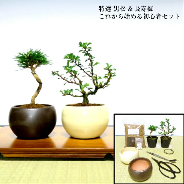 新しい趣味はいかが?