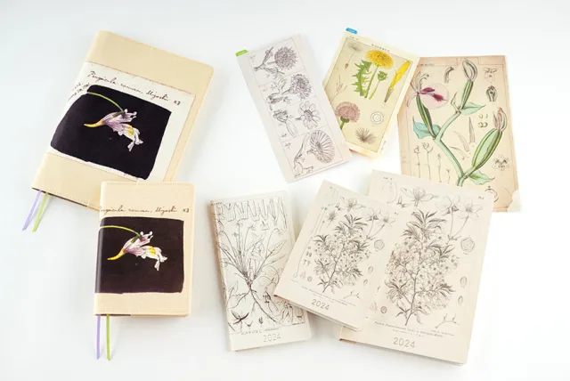 NHK朝ドラ『らんまん』の植物図が手帳に！ほぼ日手帳「ほぼ日手帳2024 牧野富太郎シリーズ」
