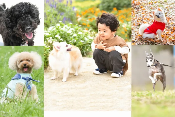 ペットだけ、飼い主と一緒が選べます