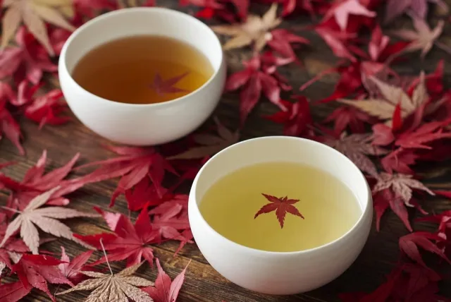 赤いもみじが浮かぶ優しい味の玄米茶  京玄米茶 上ル入ル「紅葉狩り」