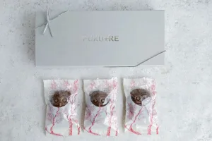 FUKU＋RE／フクレ チョコフクロウのフロランタン