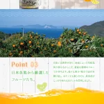 凍らせてもおいしい国産フルーツジュレ 彩果しずく 8袋
