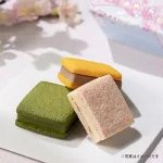 サブレショコラ 桜（5個入）