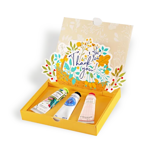 人気商品3種を塗りくらべできるセット