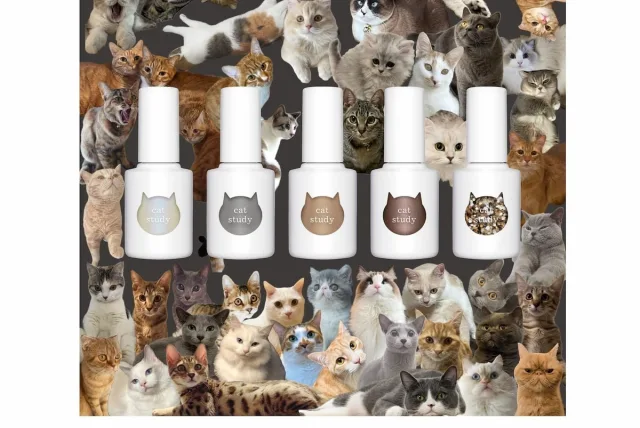 気になる“猫色ネイル”を試してみよう！uka／ウカ「uka キャットスタディ」