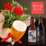 カーネーション鉢植 & 感謝ビール 2種4本 飲み比べセット