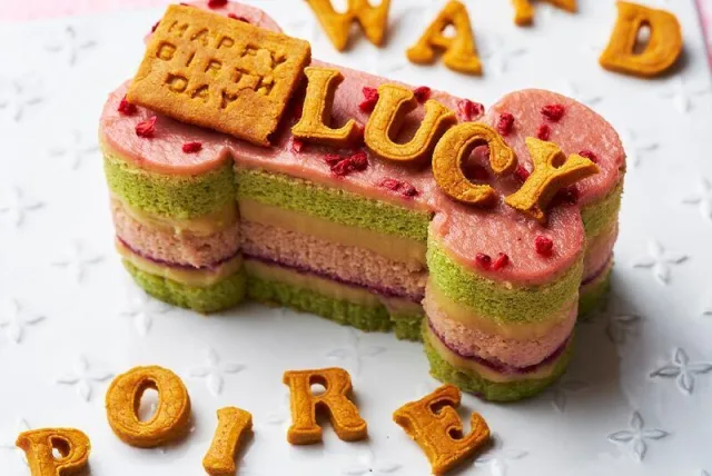 ワンちゃんと一緒に食べられるケーキ！ POIRE／ポアール WAN with ME cake（ワン・ウィズ・ミー ケーキ）