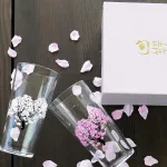 【タンブラーグラス2点セット】冷感 桜