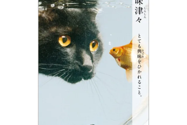 くすっと笑えるネコ＆四字熟語のマッチング！ フタバ『にゃんこ四字熟語辞典』月めくりカレンダー＆ポストカード