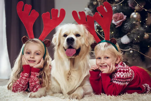 6歳男の子・女の子に贈るクリスマスプレゼント!人気アイテム10選