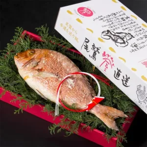 めでたい屋 ネット限定 めでたい焼 中