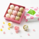 新感覚の和菓子紙ふうせん 9個入