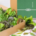 常備野菜7種詰め合わせ