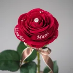 メッセージローズ赤バラ(バラと花瓶のセットギフト)