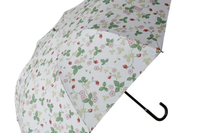 ワイルドストロベリー柄の晴雨兼用傘が登場！ WEDGWOOD／ウェッジウッド「晴雨兼用折りたたみ日傘」