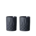 <ノブレス ブラックエディション> タンブラー ブラック(2個入)