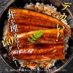 鹿児島県大隅産 うなぎ蒲焼き 2尾 タレ・山椒付き