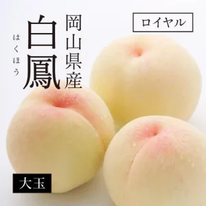 岡山フルーツ直送便 白鳳（白桃） ロイヤル【大5～6玉】