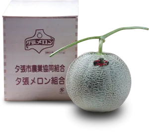 北海道 夕張メロン 特秀品