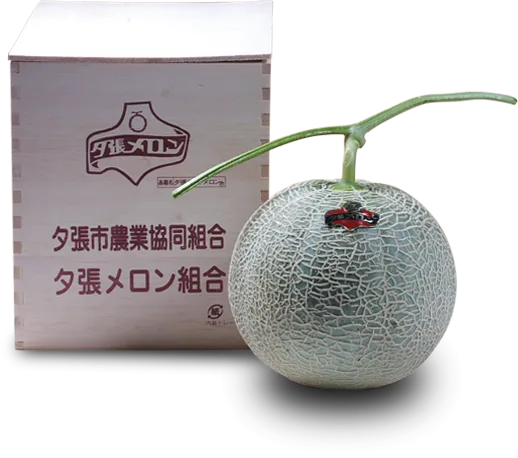 とろける甘さ『夕張メロン』