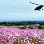 ヘリコプタークルージング