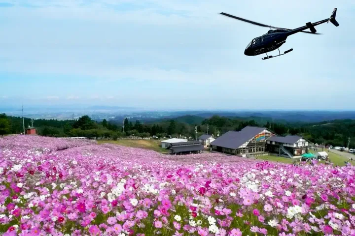 ヘリコプターで空中遊覧