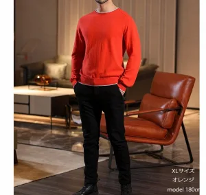 FASHFREN／ファッシュフレン カシミヤ100％配色メンズベーシックセーター