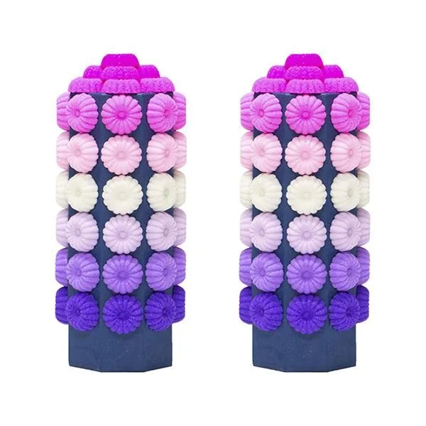 色とりどりのひな菊に心奪われる