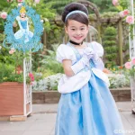 リトルプリンセスルーム ディズニーコレクション シンデレラ
