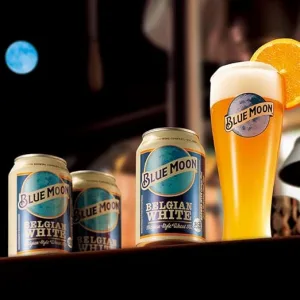 BLUE MOON／ブルームーン 330ml 缶 6本