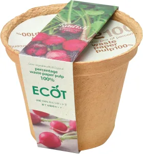 聖新陶芸 栽培キット ECOT